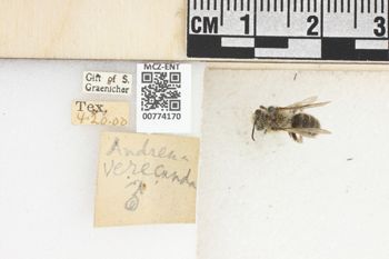 Media type: image;   Entomology 774170 Aspect: Labels